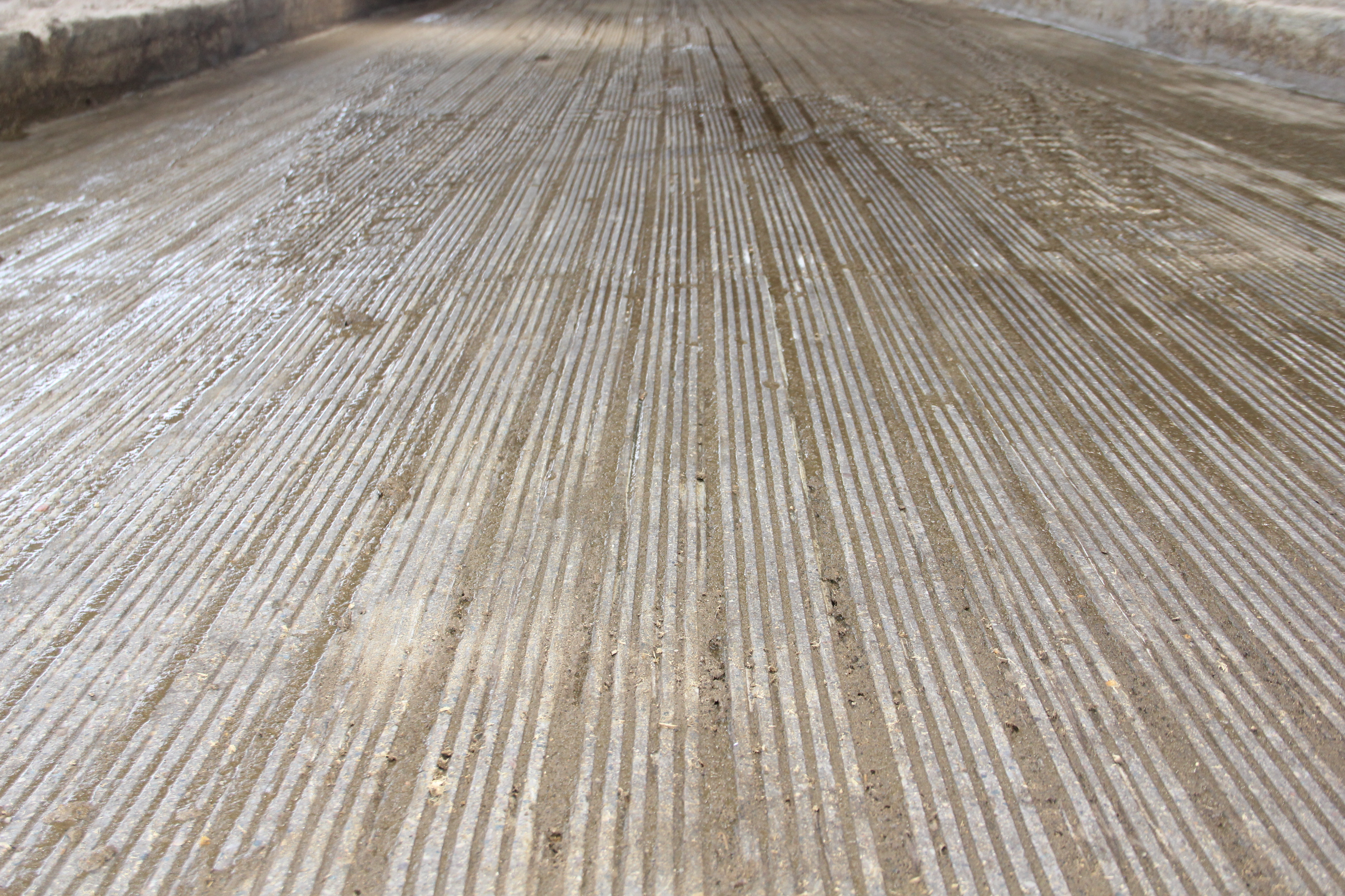 Grooved concrete. 